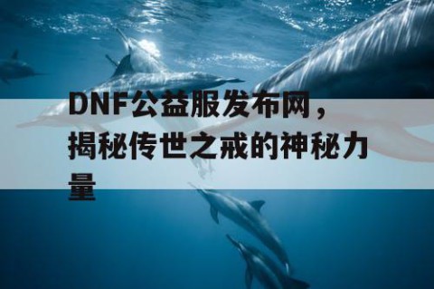 DNF公益服发布网，揭秘传世之戒的神秘力量