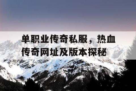 单职业传奇私服,热血传奇网址及版本探秘