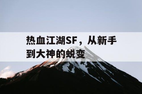 热血江湖SF，从新手到大神的蜕变