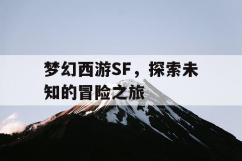 梦幻西游SF，探索未知的冒险之旅