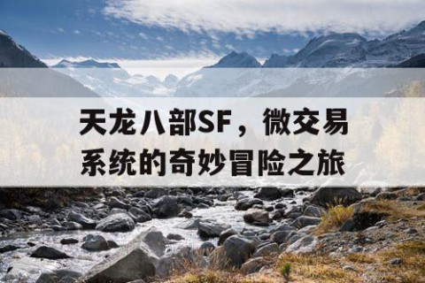 天龙八部SF，微交易系统的奇妙冒险之旅