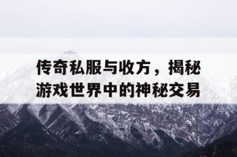 传奇私服与收方，揭秘游戏世界中的神秘交易