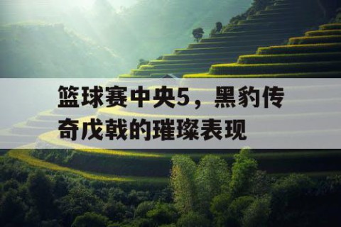 篮球赛中央5，黑豹传奇戊戟的璀璨表现