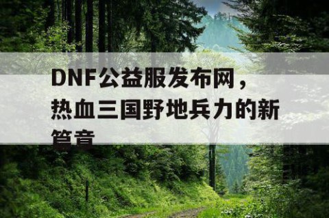 DNF公益服发布网，热血三国野地兵力的新篇章