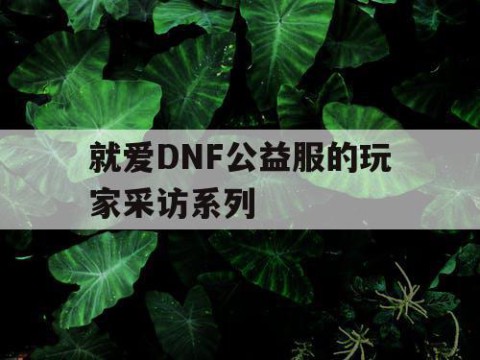 就爱DNF公益服的玩家采访系列