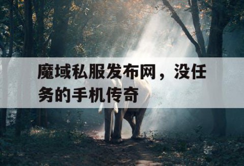 魔域私服发布网，没任务的手机传奇