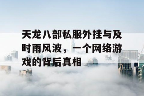 天龙八部私服外挂与及时雨风波，一个网络游戏的背后真相