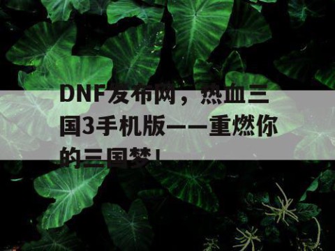 DNF发布网，热血三国3手机版——重燃你的三国梦！