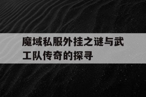 魔域私服外挂之谜与武工队传奇的探寻