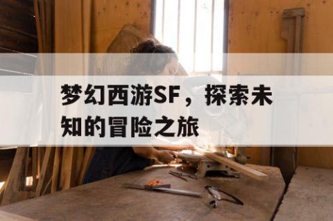 梦幻西游SF，探索未知的冒险之旅