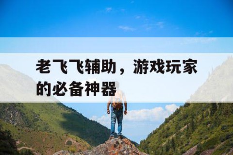 老飞飞辅助，游戏玩家的必备神器