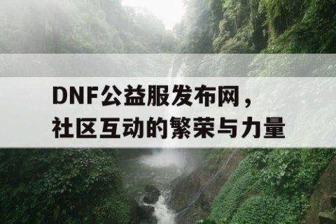 DNF公益服发布网，社区互动的繁荣与力量