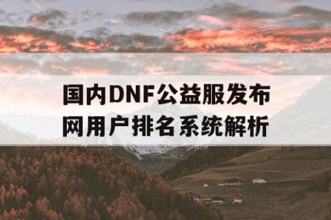 国内DNF公益服发布网用户排名系统解析