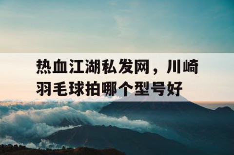 热血江湖私发网，川崎羽毛球拍哪个型号好