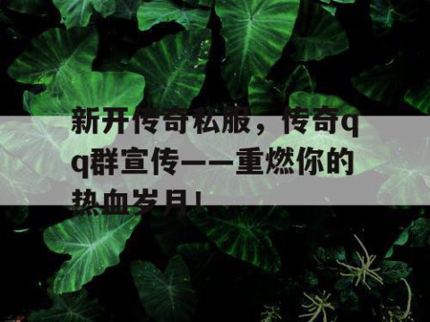 新开传奇私服,传奇qq群宣传——重燃你的热血岁月!