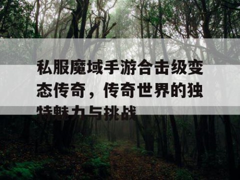 私服魔域手游合击级变态传奇，传奇世界的独特魅力与挑战