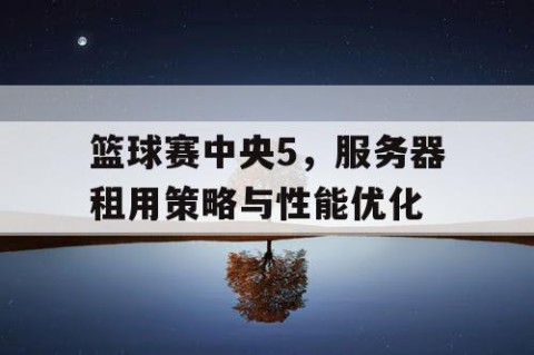 篮球赛中央5，服务器租用策略与性能优化