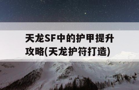 天龙SF中的护甲提升攻略(天龙护符打造)