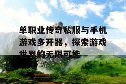 单职业传奇私服与手机游戏多开器，探索游戏世界的无限可能