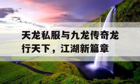 天龙私服与九龙传奇龙行天下，江湖新篇章
