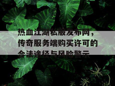 热血江湖私服发布网，传奇服务端购买许可的合法途径与风险警示