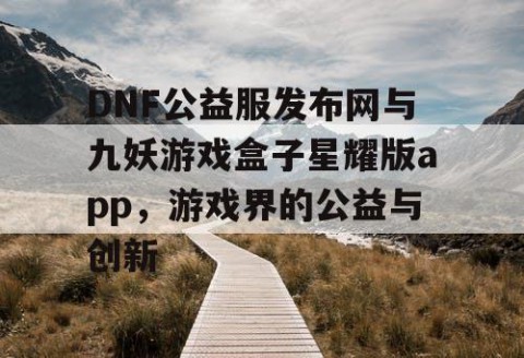 DNF公益服发布网与九妖游戏盒子星耀版app,游戏界的公益与创新