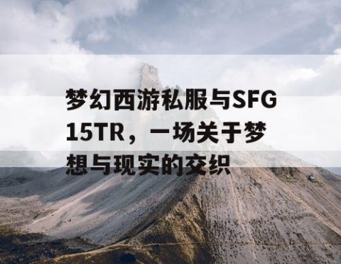 梦幻西游私服与SFG15TR，一场关于梦想与现实的交织