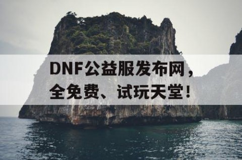 DNF公益服发布网，全免费、试玩天堂！