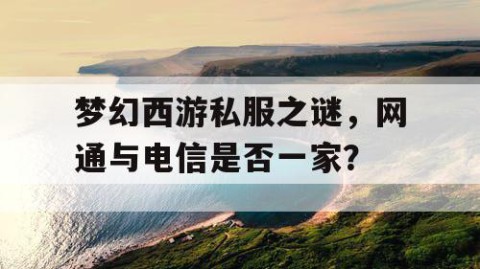 梦幻西游私服之谜，网通与电信是否一家？
