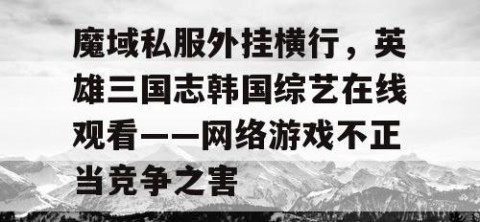 魔域私服外挂横行，英雄三国志韩国综艺在线观看——网络游戏不正当竞争之害