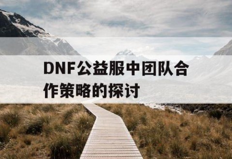 DNF公益服中团队合作策略的探讨