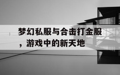 梦幻私服与合击打金服,游戏中的新天地