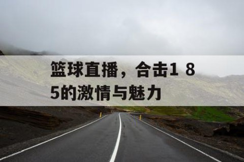 篮球直播,合击1 85的激情与魅力