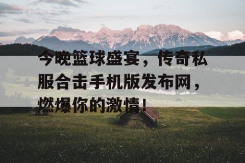 今晚篮球盛宴，传奇私服合击手机版发布网，燃爆你的激情！