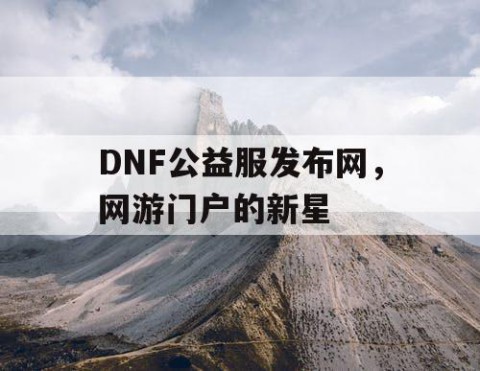 DNF公益服发布网，网游门户的新星