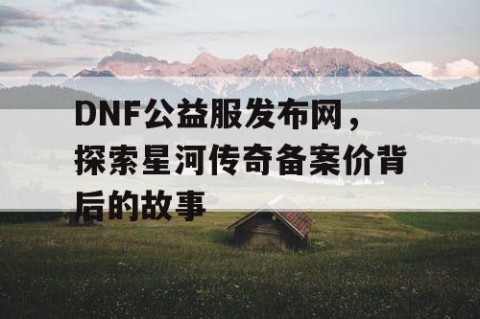 DNF公益服发布网，探索星河传奇备案价背后的故事