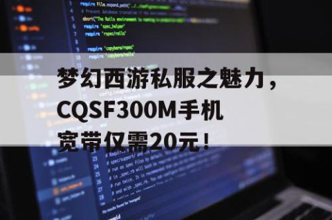 梦幻西游私服之魅力，CQSF300M手机宽带仅需20元！
