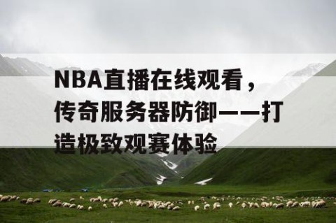 NBA直播在线观看，传奇服务器防御——打造极致观赛体验