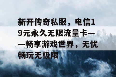 新开传奇私服,电信19元永久无限流量卡——畅享游戏世界,无忧畅玩无极限
