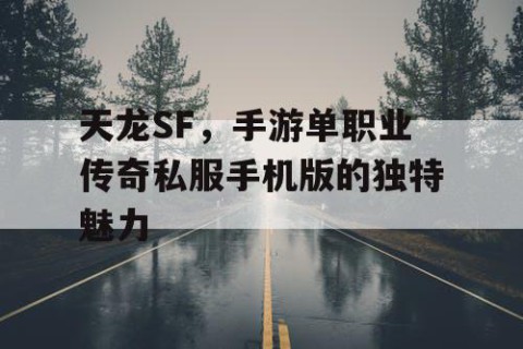 天龙SF，手游单职业传奇私服手机版的独特魅力