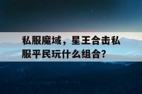 私服魔域，星王合击私服平民玩什么组合？