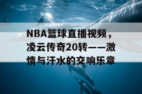 NBA篮球直播视频，凌云传奇20转——激情与汗水的交响乐章