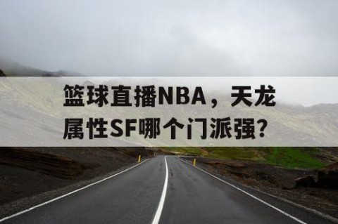 篮球直播NBA,天龙属性SF哪个门派强?