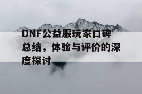 DNF公益服玩家口碑总结，体验与评价的深度探讨