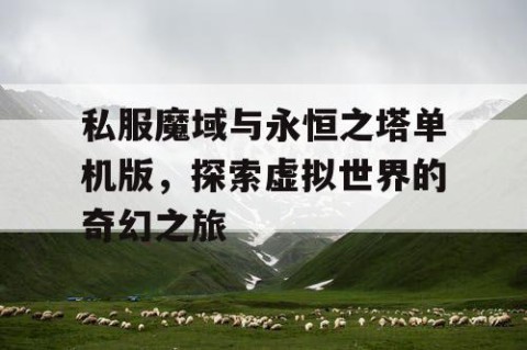 私服魔域与永恒之塔单机版，探索虚拟世界的奇幻之旅