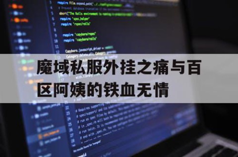 魔域私服外挂之痛与百区阿姨的铁血无情