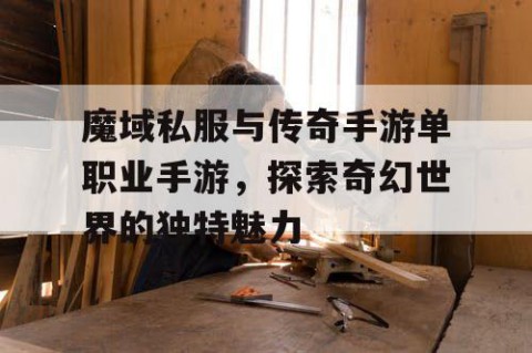 魔域私服与传奇手游单职业手游，探索奇幻世界的独特魅力