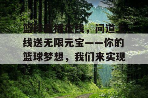 篮球直播在线，问道上线送无限元宝——你的篮球梦想，我们来实现！
