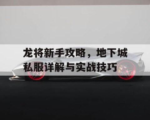 龙将新手攻略，地下城私服详解与实战技巧