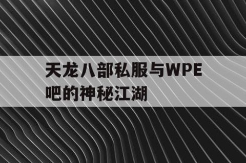 天龙八部私服与WPE吧的神秘江湖